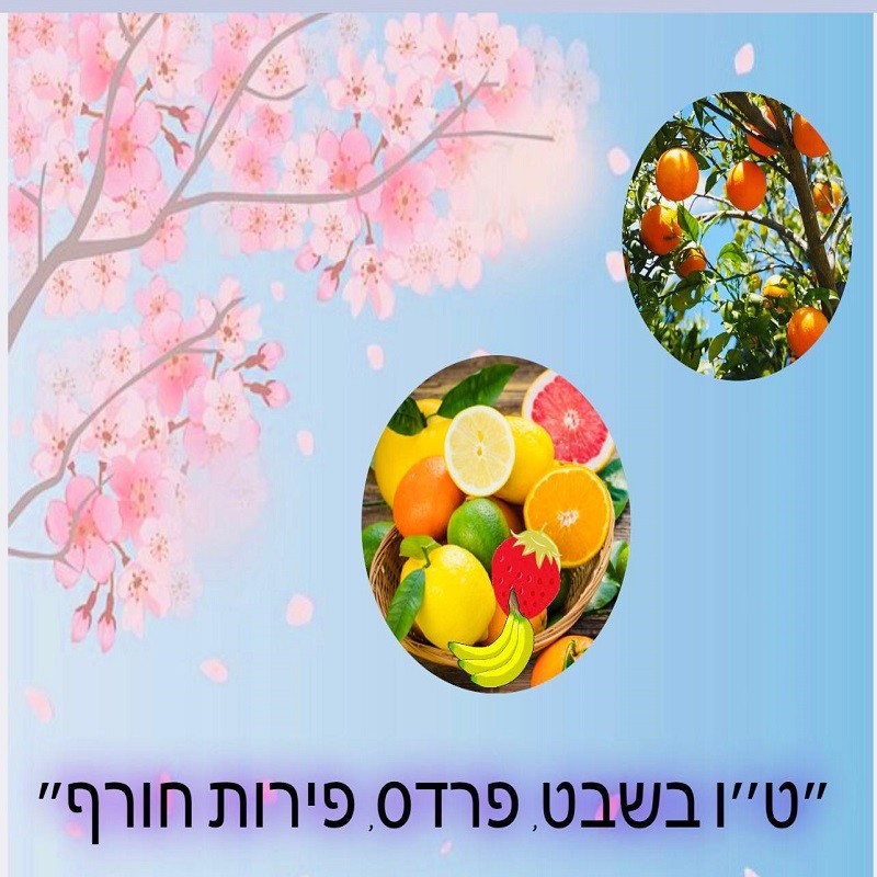 ערכה דיגיטלית ״ט״ו בשבט, פרדס, פירות חורף״